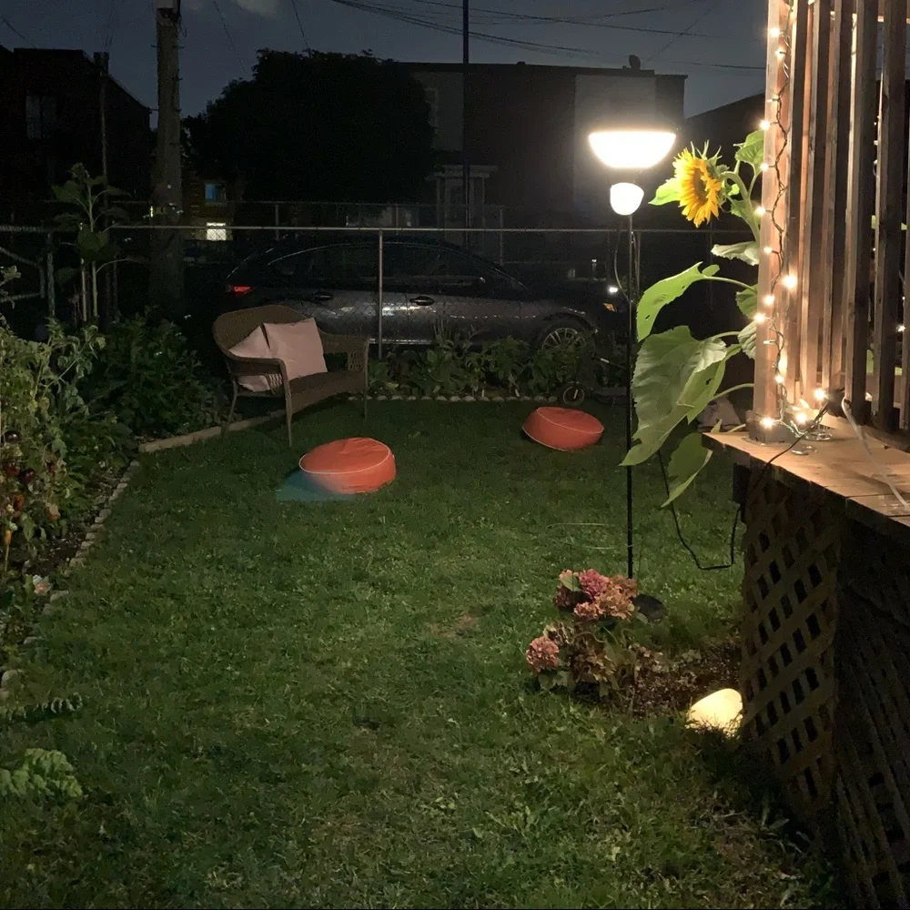 Posh N Sip Montreal ✨ - Picture 5 of 15